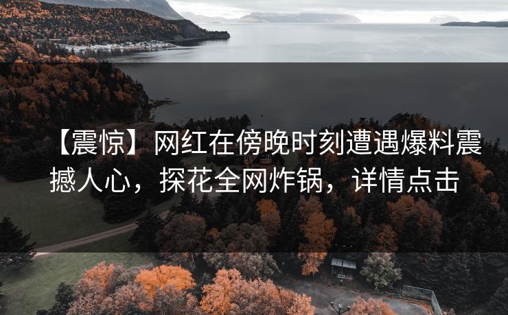 【震惊】网红在傍晚时刻遭遇爆料震撼人心，探花全网炸锅，详情点击