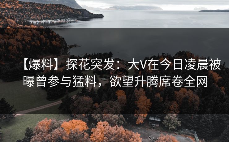 【爆料】探花突发：大V在今日凌晨被曝曾参与猛料，欲望升腾席卷全网